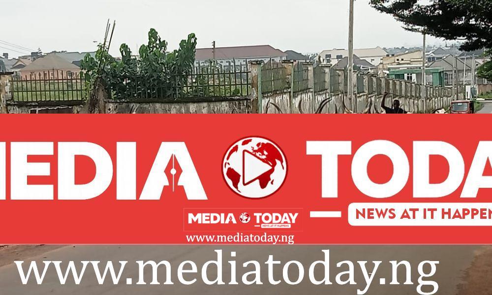 Abia Commences Statewide Anthrax Vaccination for Livestock Species