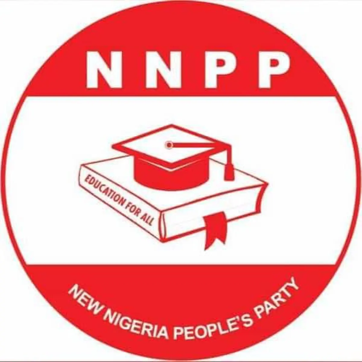 Past three years have not been easy for us - NNPP