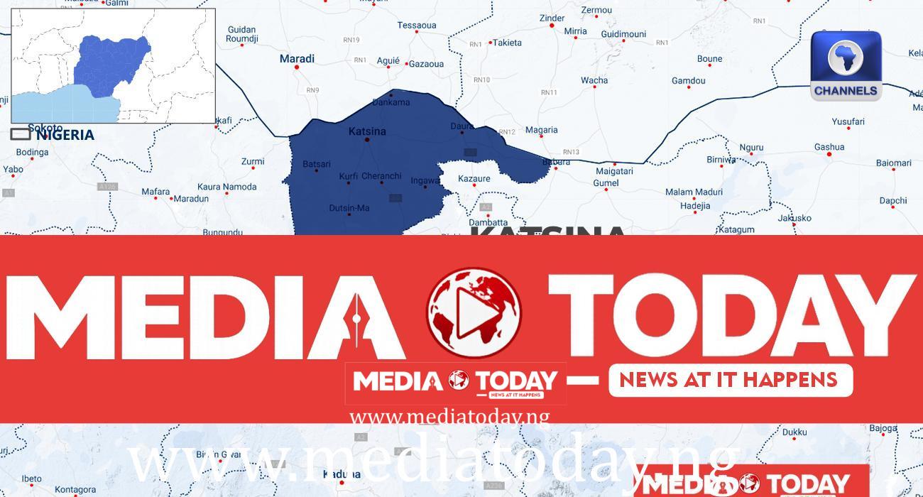 How Police Rescued 11 Kidnap Victims in Katsina State, Recovered 25 Rustled Cows