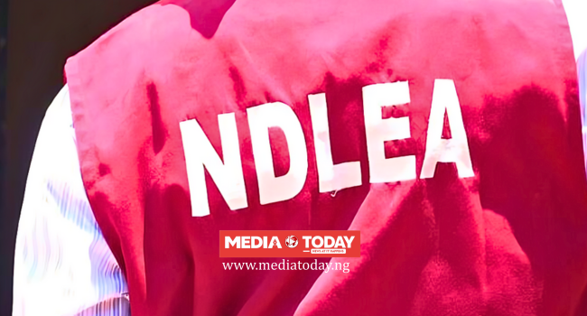 NDLEA Seized 9.4 Tonnes Of Illicit Drugs, Arrested 1,587 Suspects In One Year — Plateau Command •