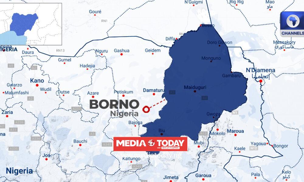 How Gunmen Disguised, Invaded Lassa Community, And Abducted NECO Students In Borno — Police