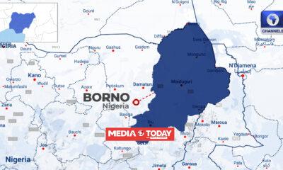 How Gunmen Disguised, Invaded Lassa Community, And Abducted NECO Students In Borno — Police