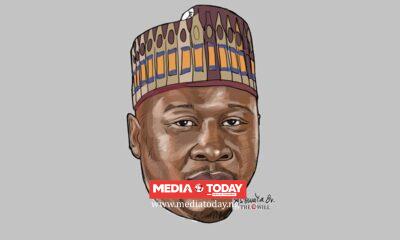 PDP’s Hollow LGA Victory in Adamawa