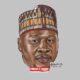 PDP’s Hollow LGA Victory in Adamawa