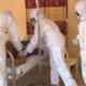 Lassa fever kills doctor, prompts emergency response in Benue