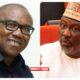 2027: We need a unifier - Dino Melaye endorses Peter Obi [VIDEO]