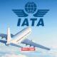 African Airlines Buck Global Slowdown With 8.9% Surge in Passenger Demand