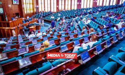 House of Reps Passes State Police Bill, Adopts 18 Constitutional Amendment Clauses