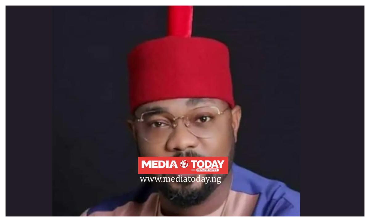 Ugochinyere loses Minority Leader bid in House of Reps