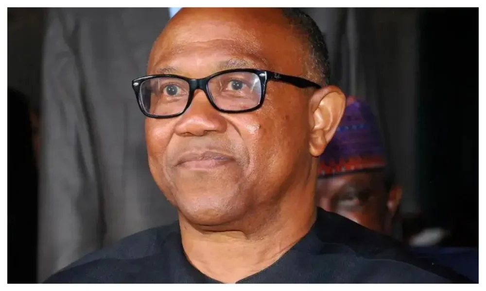 'You don't know how to do it' -  Presidency attacks Peter Obi