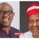 NDC reveals why Peter Obi, Kwankwaso will be exempted from anti-defection oath