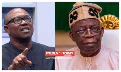 Peter Obi copy-and-paste politician, can't compete with Tinubu - Presidency