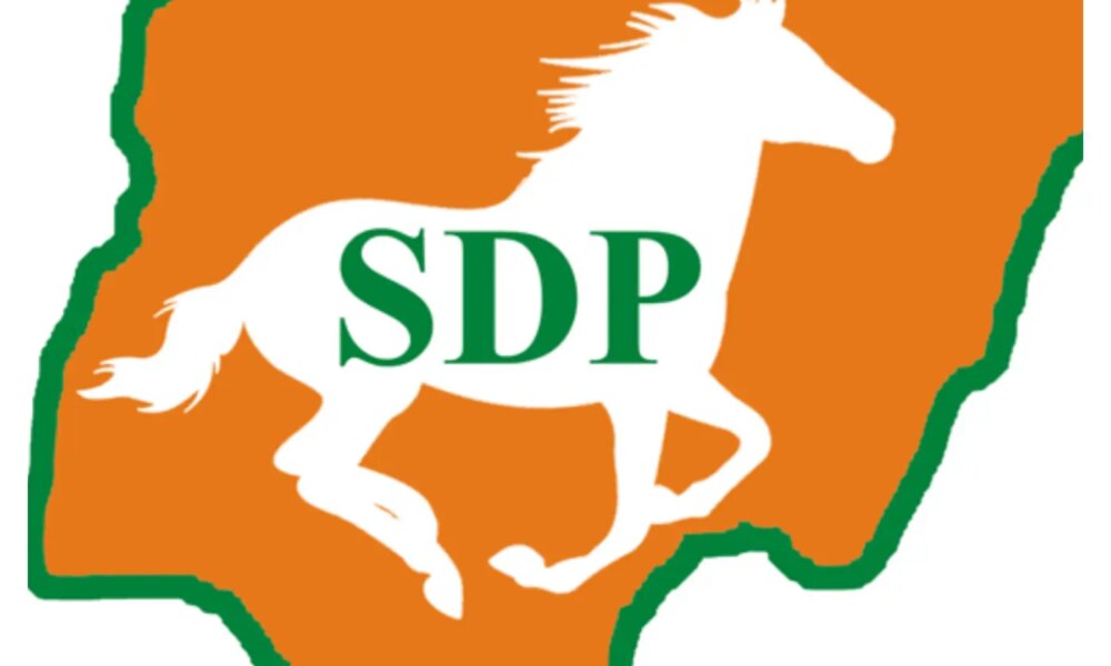 2027: Why INEC portal doesn't guarantee authentic party leadership – SDP's Gombe
