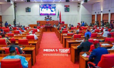 Senate Advances Bill To Secure $1trn Economy Goal, Passes Virtual Asset Regulation Bill For Second Reading