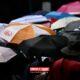 Heatwave-Hit Europe Must Adapt Healthcare — WHO •