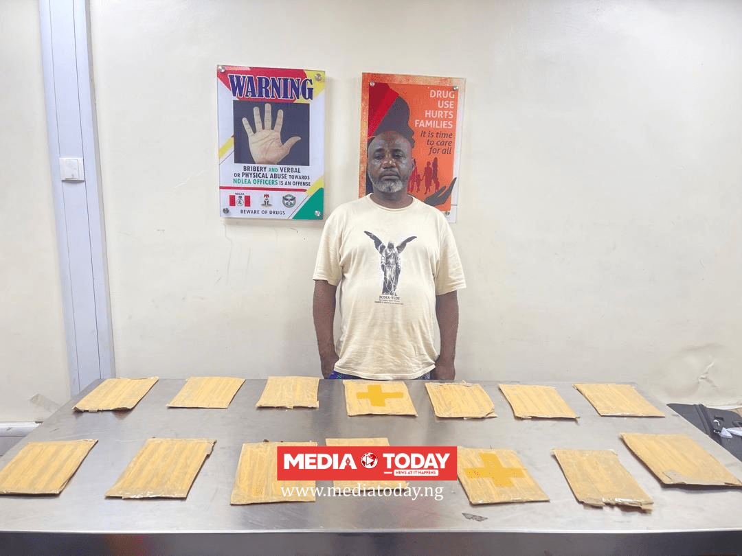NDLEA Smashes ₦10bn Drug Syndicates, Seizes Cocaine, Canadian Loud, Opioids At Lagos Ports