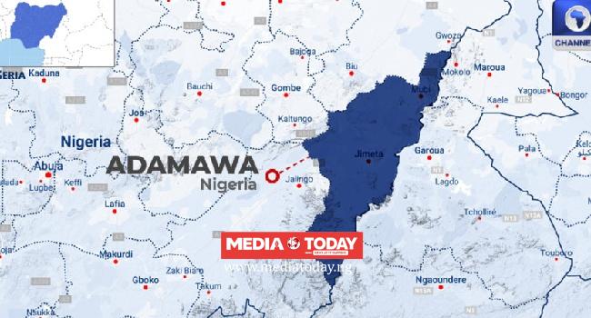 Adamawa Launches School Re-Entry Policy For Married Adolescents, Teen Mothers •