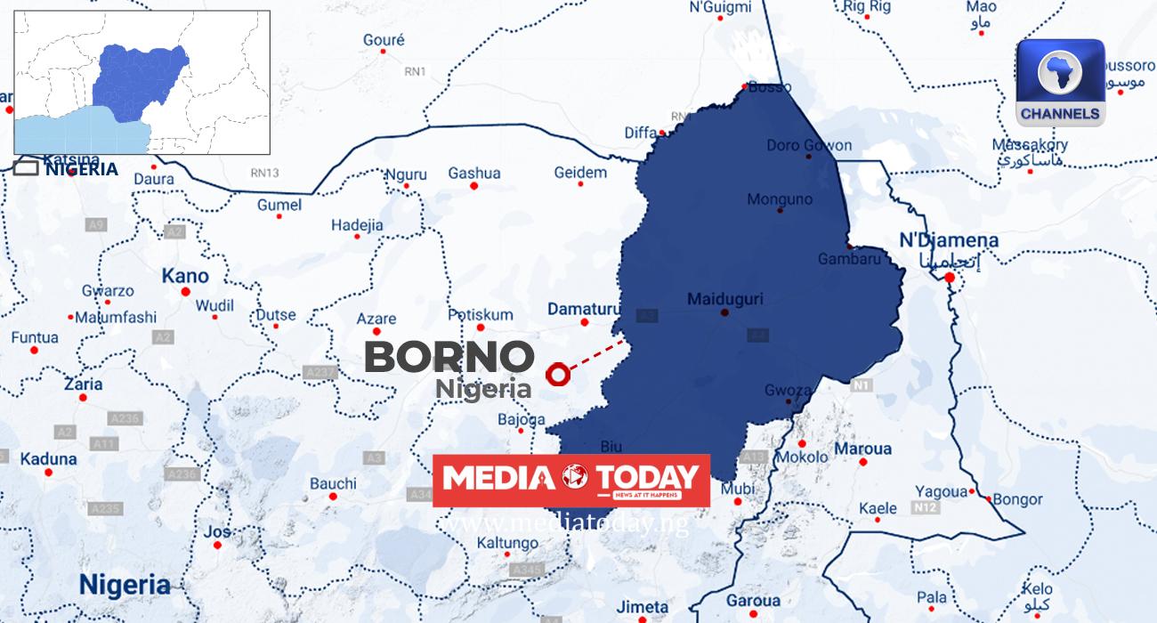 Suspected ISWAP Terrorists, Families Surrender As Military Rescues Abductees In North East