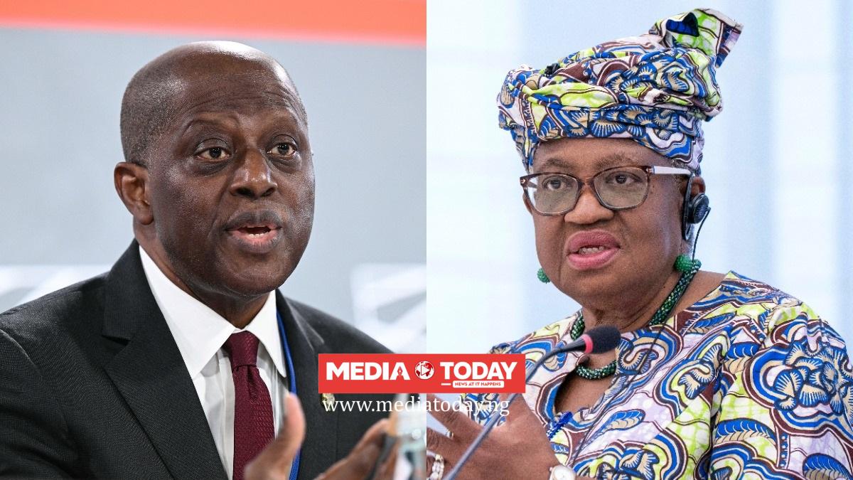 Cardoso, Okonjo-Iweala To Lead Talks On Africa’s Move To Tackle Global Economic Risks