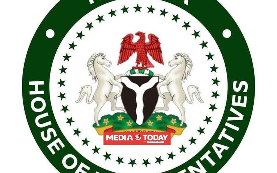 Rowdy Session Er‌upts in House‌ of Representat‍ives as Lawma‍kers Clash‍ Over Move to Summon President Tinubu