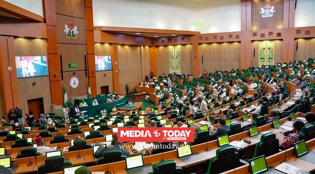 Reps Drop Own State Police Bill, Considers Tinubu’s Proposal