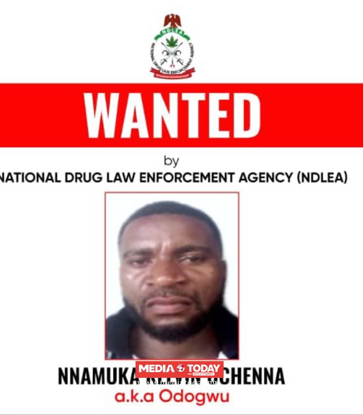 NDLEA declares drug kingpin, Nnamuka Kelvin Uchenna, three associates wanted * Blocks N9.8billion in bank accounts, secures forfeiture of multi-billion-naira fuel station, buildings, SUVs