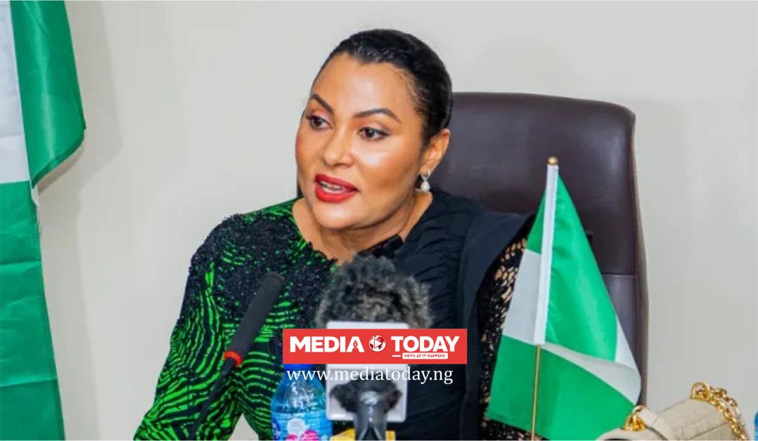 FG Targets Stronger Development Finance, Private Capital To Drive $1trn Economy