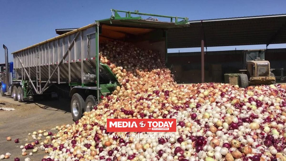 ECOWAS Ends Ghana-Nigeria Onion Trade Dispute, Pushes Long-Term Reforms