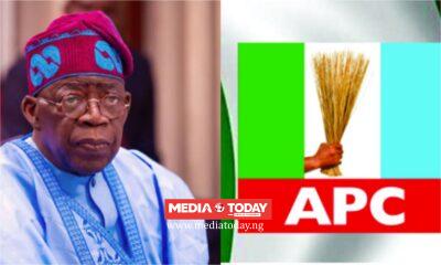 Tinubu, APC out to cripple opposition ahead of 2027 election – Habibu, Zuwoghe