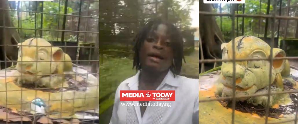 "You See Lion Abi You No See Lion?"- Man Left in Shock After Visiting Port Harcourt Zoo, Finds Molded Lion Instead of Live Animal