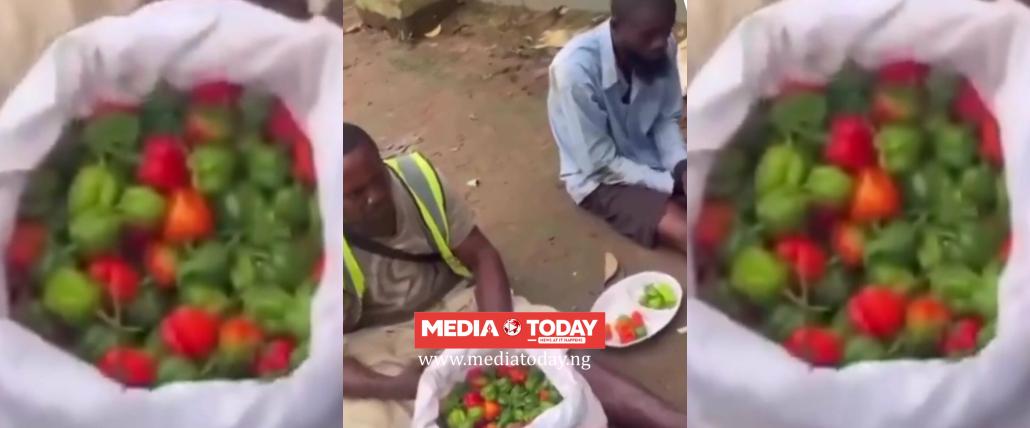 Two Men Caught Allegedly Stealing Bag of Pepper Forced to Eat Hot Chillies in Viral Punishment