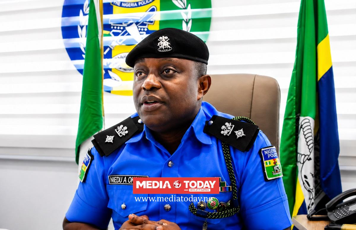 Police Arrest 295 in Osun Election, Move to Prosecute Two