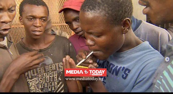 Drug Abuse Among Nigerian Youths Raises Concern as Experts Warn of Serious Health Consequences.