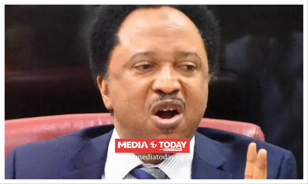 Atiku, Obasanjo's fight will continue until one of them dies - Shehu Sani