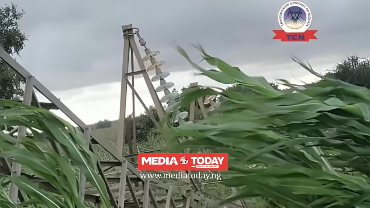 TCN Declares Force Majeure After Three Towers Collapse On Niamey Line