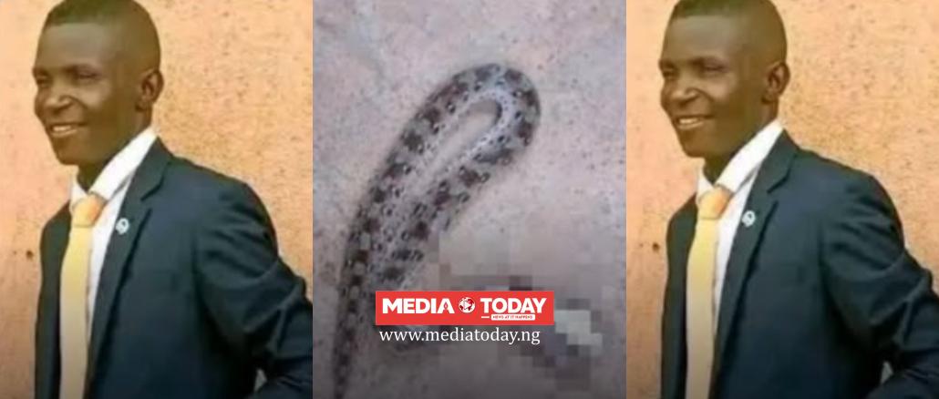 Pastor Dies After Venomous Snakebite During Missionary Work in Plateau