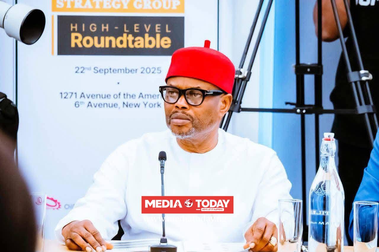 Ex-Minister Nnaji Gets Court Nod To Travel Abroad For Medical Treatment