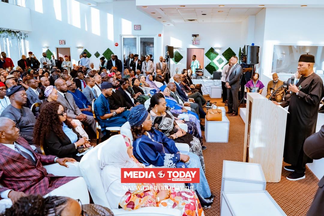 Nigeria Needs You Now – Shettima Tasks Diaspora On Tinubu’s Economic Reforms
