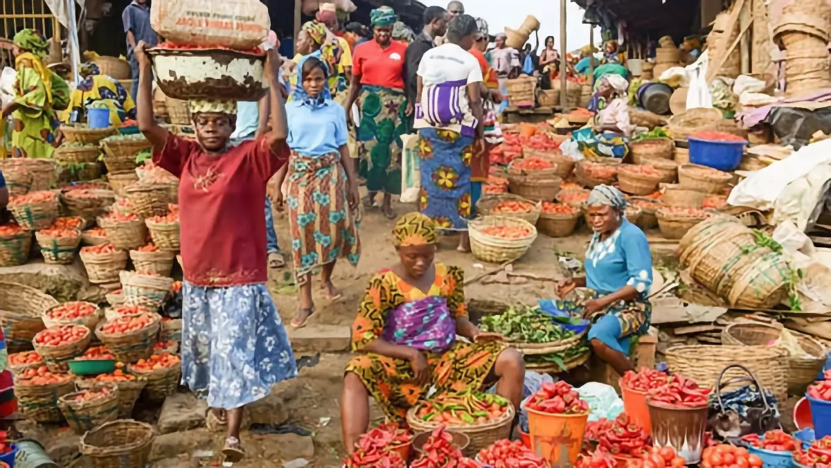 15.39 Percent Inflation: August Data Gives CBN More Room to Reassess Rates