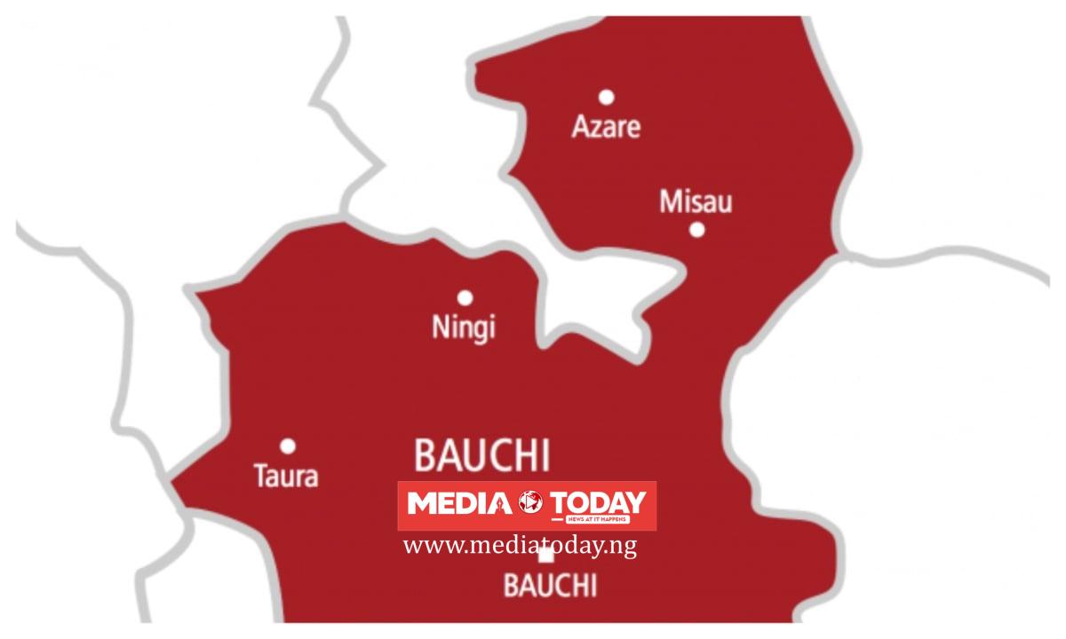 Another Bauchi lawmaker withdraws from 2027 race