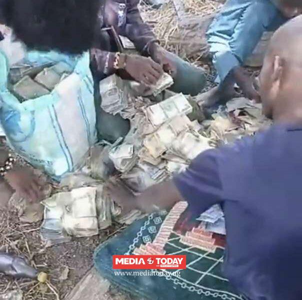 Viral V⁠ideo Spark‍s Re⁠actions as Sus‍pected Bandits Are Seen P‌acking Bundles of‌ Naira Note⁠s in Bush