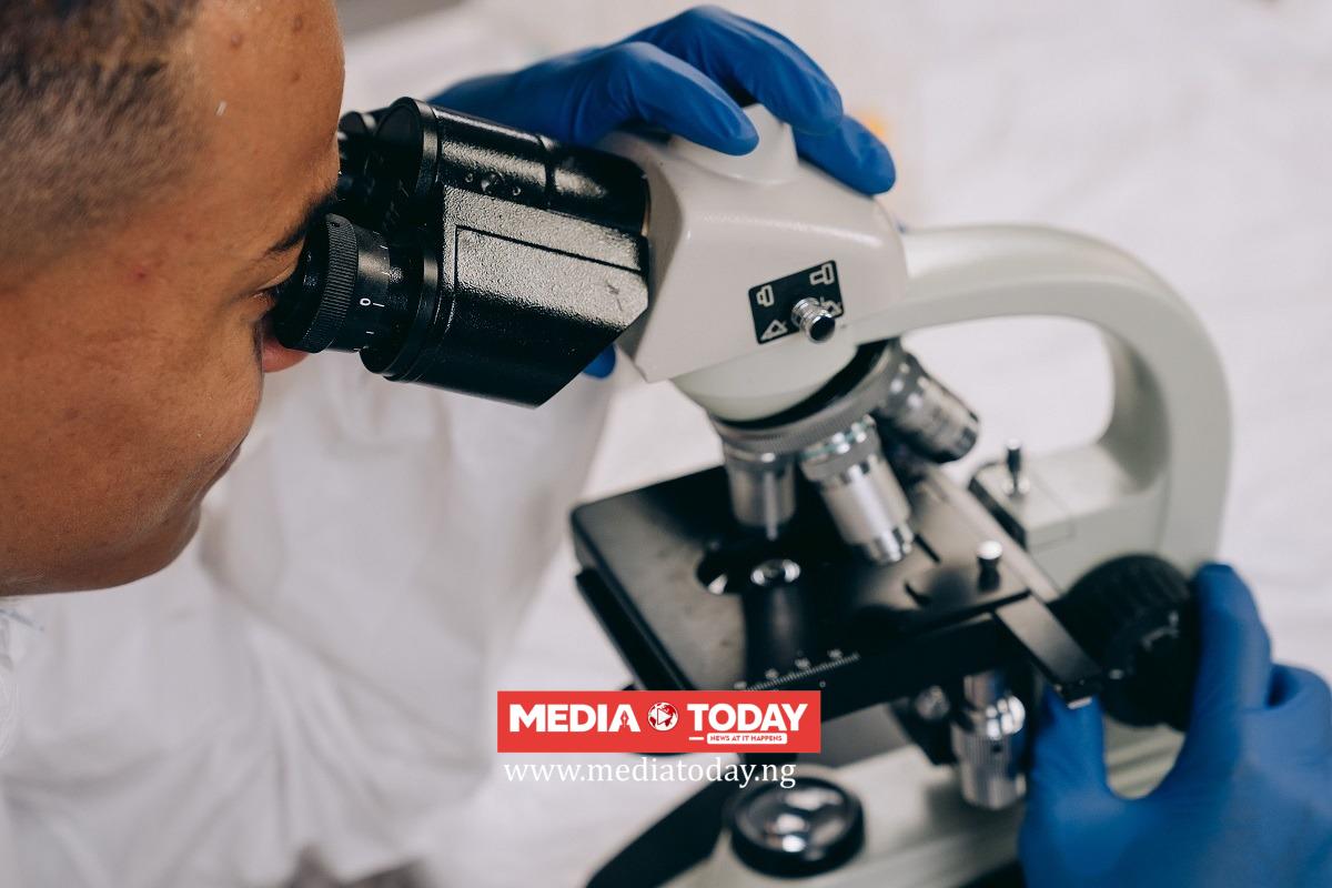 AGNES Offers Nigerian PhD Researchers Up to €3,000 for Research Visits Abroad
