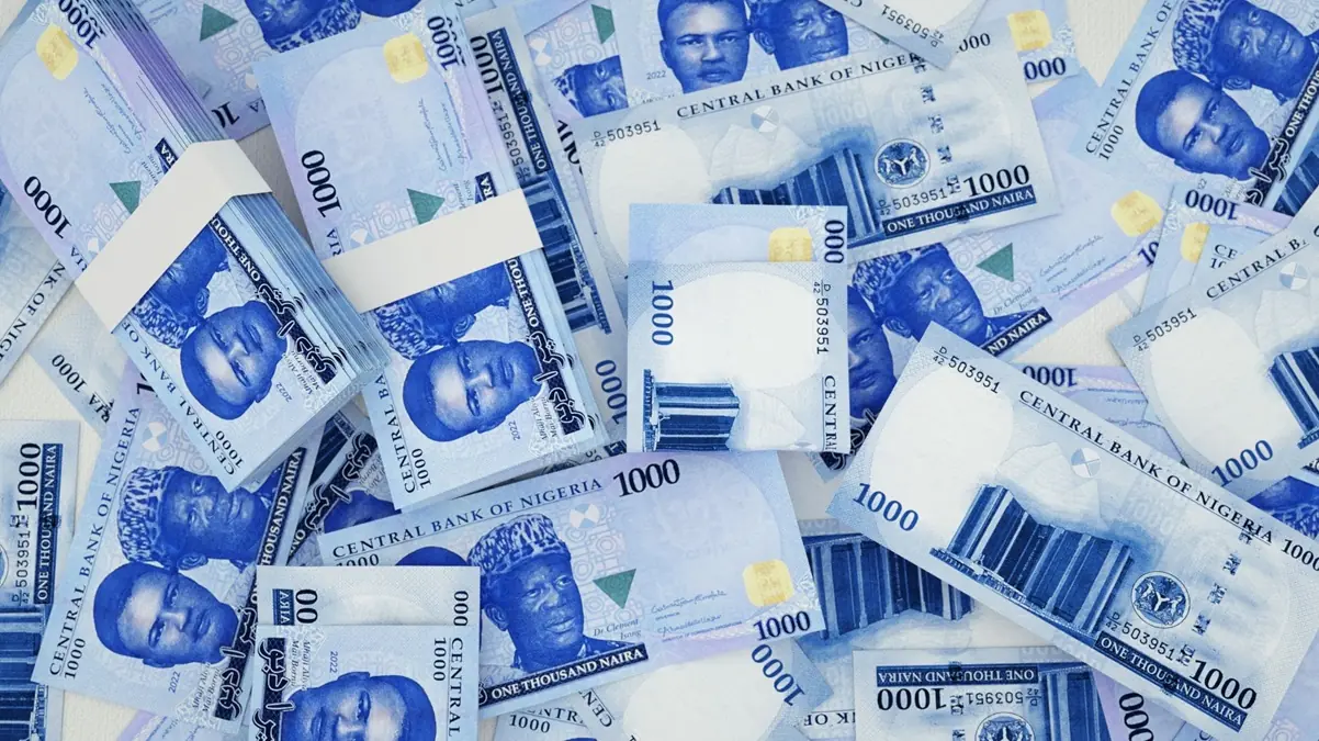 Naira Among Africa’s Most Resilient Currencies In 2026