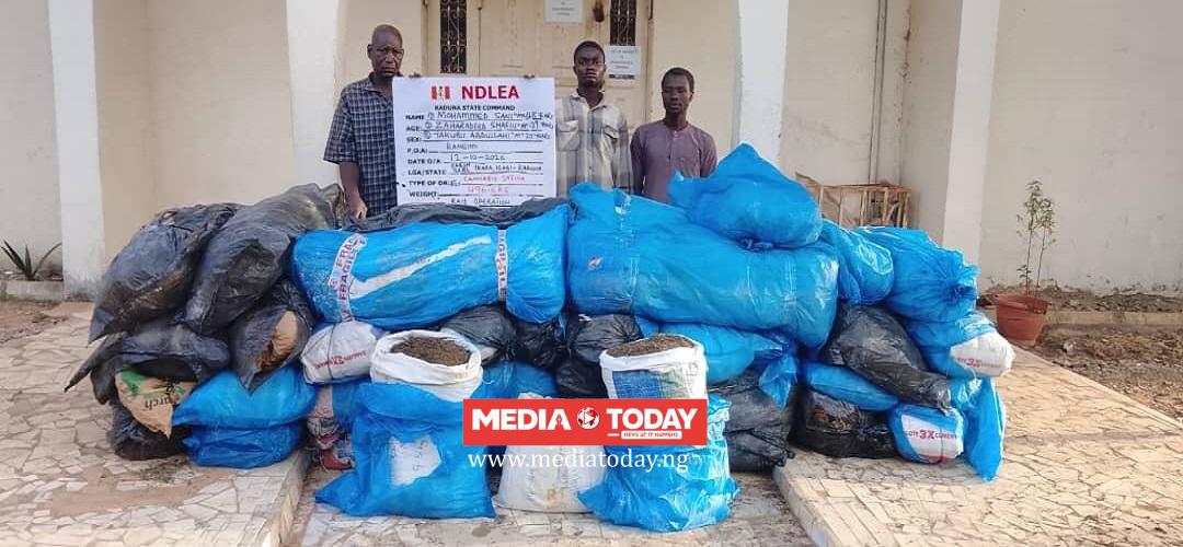 NDLEA Busts 85-Year-Old ‘Mama Grace’ With 179kg Cannabis, Smashes Edo Drug Ring