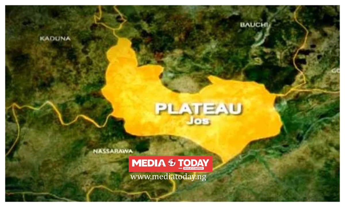 Suspected herders destroy large portion of cabbage farm in Plateau