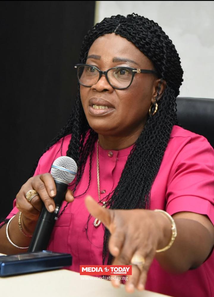 Abia Diaspora Homecoming To Drive Investment, Skills Transfer, Partnerships -Amb Onu