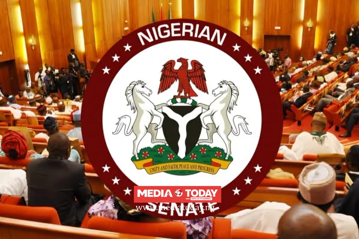 Fiscal Responsibility Commission Gets New Leadership As Senate Confirms Saidu, Six Others